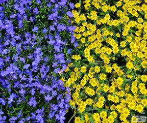 yapboz Mavi ve sarı çiçek